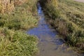 A narrow river that turns into a swampy area