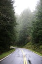 Narrow Road in the Forest