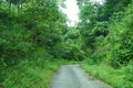 Narrow road through Green Forest at East Sikkim Royalty Free Stock Photo