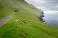 Narrow road leading into a tunnel on a steep slope of Kalsoy, Faroe Islans. Sheep feeding on grass next to the road. Ocean and Royalty Free Stock Photo