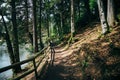 Narrow road, small path on the bank of the mountain lake surrounded by forest, harmony of nature