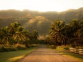 Narrow road surrounded by palm trees with Hawaiian mountains in the background at the North Shore Royalty Free Stock Photo