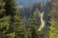 Narrow road with turns in the conifer forest of the Schwarzwald, Germany. With text space Royalty Free Stock Photo