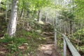 A narrow rocky hiking trail through sunlit woods up a hill in Whycocomagh with a handrail