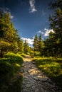 Narrow rocky path in the green forest from Serak to Velky Keprnik in Jeseniky