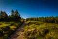 Narrow rocky path in the green forest from Serak to Velky Keprnik in Jeseniky Royalty Free Stock Photo