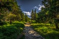 Narrow rocky path in the green forest from Serak to Velky Keprnik in Jeseniky