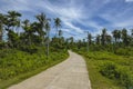 A narrow rural concrete highway traversing the island of Pangangan island in Calape, Bohol Royalty Free Stock Photo