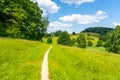 Narrow rural pathway in green hilly landscape