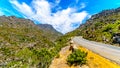 The narrow and scenic Bainskloof Pass through the Witte River or Witrivier Canyon between the towns Ceres and Wellington Royalty Free Stock Photo