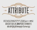 Attribute alphabet font. Vintage letters, numbers and punctuations for label, badge or emblem design.