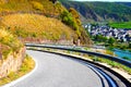 narrow serpentine from Valwiger Berg down to Valwig between yellow vineyards