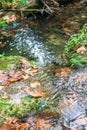 A narrow, shallow river with clear water flowing over rocks and fallen leaves Royalty Free Stock Photo