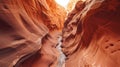 narrow slot canyon landscape