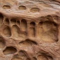 Evocative sandstone shapes