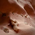 Evocative sandstone shapes