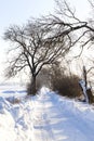 narrow snow-covered winter road