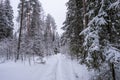 A narrow snow path in a winter forest covered with snow