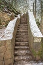 Narrow Stairs in The Woods Royalty Free Stock Photo