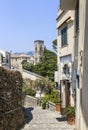 A narrow steep street with blooming oleanders in Ravello