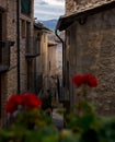 Narrow stone alley with red flowers Royalty Free Stock Photo