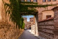 Narrow stone passageway on a medieval street of Segovia, Spain, overgrown with lush green ivy (Hedera) Royalty Free Stock Photo