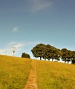 Narrow stone pathway leading to the top of a hill in a summer meadow with a line of green trees and bright sunny sky Royalty Free Stock Photo