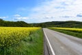 narrow straight road through yellow fields Royalty Free Stock Photo