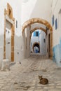 Narrow street with arches in medina of Bizerte