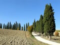 Narrow street in the countryside with a row of cypress trees, Tuscany, Italy Royalty Free Stock Photo