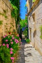 Narrow street and flowers in Korcula Royalty Free Stock Photo