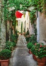 Narrow street with flowers in the old town. Royalty Free Stock Photo