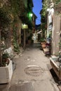 Narrow street with flowers in the old town Mougins in France. Ni Royalty Free Stock Photo