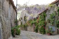 Narrow street of flowers Royalty Free Stock Photo