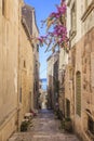 The narrow street of Korcula, Korcula Island in Croatia Royalty Free Stock Photo