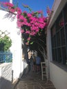 Narrow street in Kythnos island