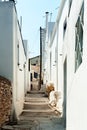 Narrow street in Lefkes, Paros, Greece Royalty Free Stock Photo