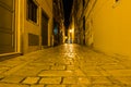 Narrow street in night of old town of Rovinj, Croatia Royalty Free Stock Photo