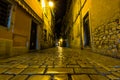 Narrow street in night of old town of Rovinj, Croatia Royalty Free Stock Photo