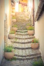 Narrow street in the old town with stairways and flower pots on both sides