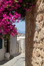 Narrow lane with purple flowers and white houses in Lindos on Greek island Rhodes