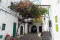 A narrow street in Tetouan