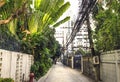 Narrow street with tropical plants and wires in Bangkok city, Thailand.