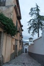 Narrow streets of albaicin