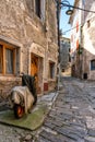 A narrow streets of Buje, Croatia