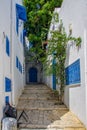 Narrow streets of the city in the Andalusian style in white-blue colors