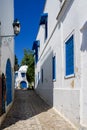 Narrow streets of the city in the Andalusian style in white-blue colors