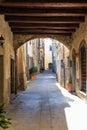 Narrow streets of Marta burg on Bolsena lake