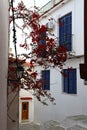 Narrow streets of Skiathos Town with beautiful red flowers 