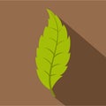 Narrow toothed green leaf icon, flat style Royalty Free Stock Photo